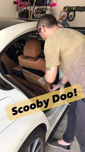 Scooby Doo Artwork from Thrift Store Finds