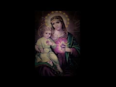 Catholic Church's Apostolic Succession is NOT with heretics - 4 February, 2026 AD