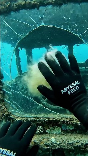 POV: Deep Sea Sunken Fishing Boat Wreck