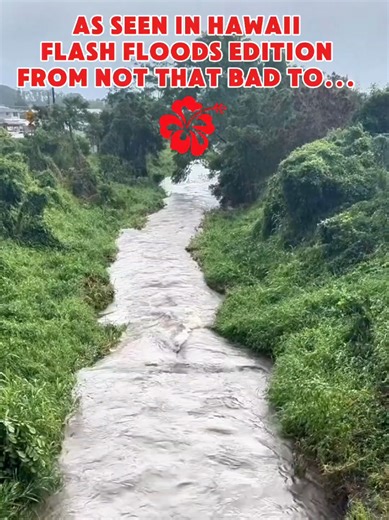 Streams in Hawaii during flash food warnings. First it's not that bad, then all of a sudden Bam! Psyche! Hit ♥️ if you agree. 😂 #HawaiiRightNow #HawaiiLife #FlashFlood #Kaneohe #Hawaii