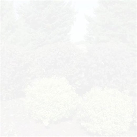 #LandscapingServices #treeservices. #MulchinInstallation #YardMaintenance #SpringCleanup