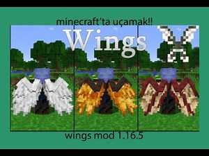 minecraft wings mod 1.16.5