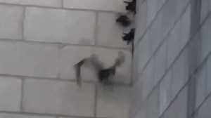 Landlord working to address bat infestation at Hanford Auction House