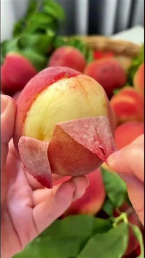 Craving Sweetness? Just Peel a Peach! 🍑 MengyinPeaches SoftPeaches RipeFruit