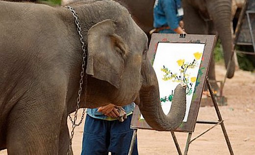 Elephant Painting a Portrait: Real or Hoax?