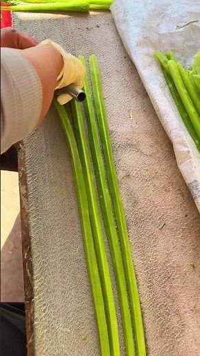 "How to Cut Asparagus: Quick and Easy Tips"