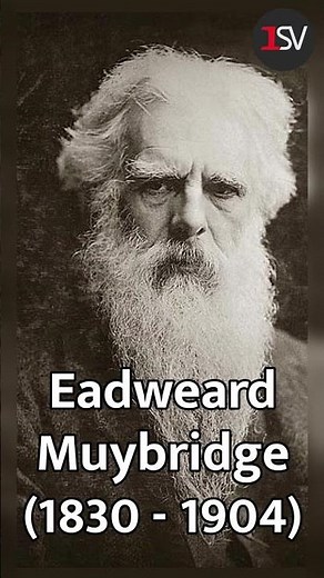 Did You Know? The Horse in Motion and the Birth of Motion Photography 🐎📸