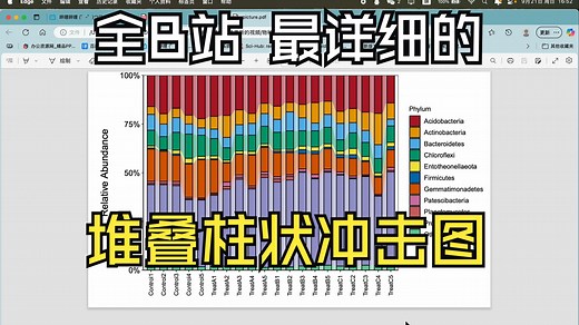 【中英双语】PIVlab 新手快速入门指南教程-喜牛牛-_--学习-哔哩哔哩视频