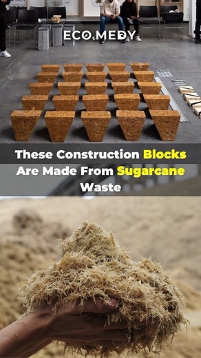 EcoMedy on Instagram: "Turning sugarcane waste into building blocks for a sustainable future! 🌱✨ . 🌿 Presenting @sugarcrete , a groundbreaking material born from the brilliant collaboration between the @universityofeastlondon and @elena.arch from @grimshawarch . . Share your thoughts in the comments and click the link in bio for more on this eco-conscious innovation! . . #Sustainableliving #Innovation #Greenconstruction #upcycling #sugarcrete #biomaterials #sustainableinnovation #greentechnolo