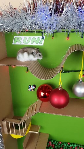 Hamster Parkour Christmas Adventure!