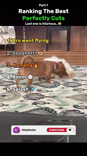 Ranking The Best Perfectly Cuts!😂 #perfectlycut #usa #shorts