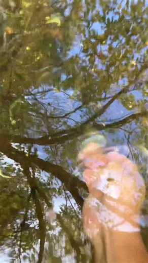 underneath the willow tree#youtube#youtubeshorts#subscribe#