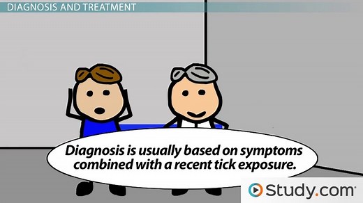 Human Anaplasmosis: Causes, Symptoms, Treatment & Prevention