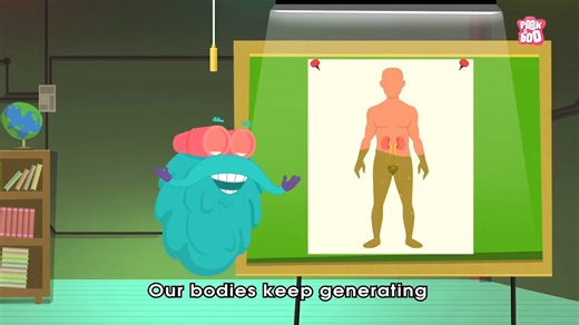 儿童科普动画 The Dr.Binocs Show - How Your Urinary System Works