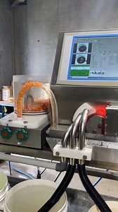 Can you imagine finding 130,000 Easter eggs in just one hour? Here at Huon we have the world’s fastest egg hunt! In the past, eggs that hadn’t fertilised or developed properly had to be removed by manual sorting. Today, we use the Skala Maskon egg sorter that scans and sorts each egg individually. The scanner can take up to six images of each egg from different sides. A computer then classifies the images according to whether they are likely to hatch into a healthy baby Huon Salmon and discards 