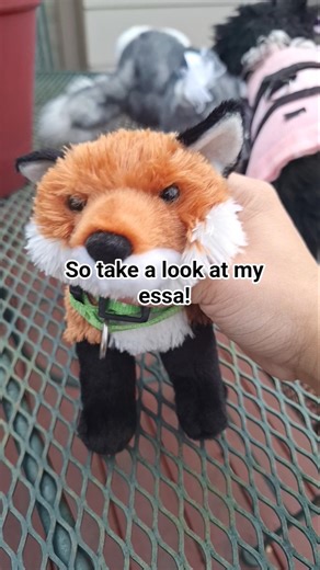 having an essa is normal #essa #essacommunity #plush #fyp #stuffedanimals