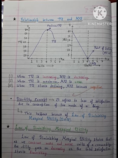 Chapter 2: Consumer Equilibrium Class 11 Economics Notes #shorts #shortvideo #viral#viralvideo#short