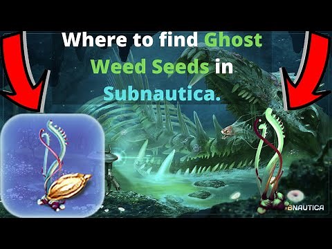 Where to find Ghost Weed Seeds in Subnautica.