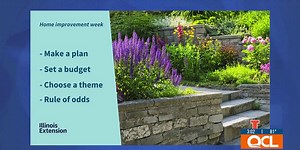 Basics of landscape design