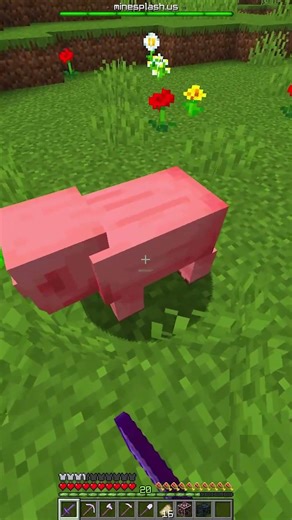 I OPENED an OP SURVIVAL game on MY MINECRAFT SERVER