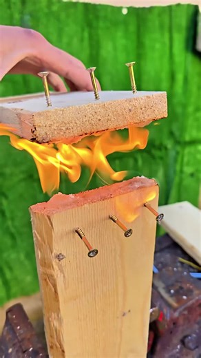 Creative Ideas and Hacks for Everyday Life