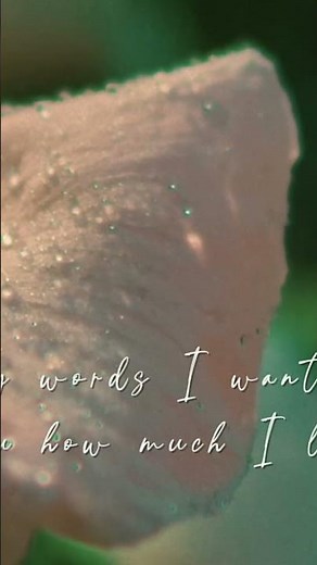 Josh Harris – “The Only Words” (OUT NOW Promo Video) #shortsvideo #bigfeetrecords