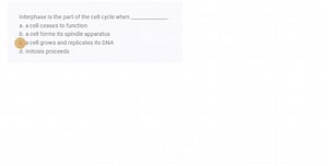 SOLVED:Interphase is the part of the cell cycle when . a. a cell ceases to function b. a cell forms its spindle apparatus c. a cell grows and replicates its DNA d. mitosis proceeds
