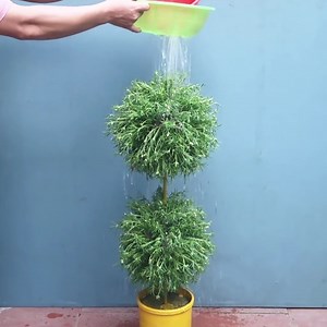 151K views · 3.4K reactions | Beautiful flower decorations for your home  | DIY Balcony Garden | Facebook