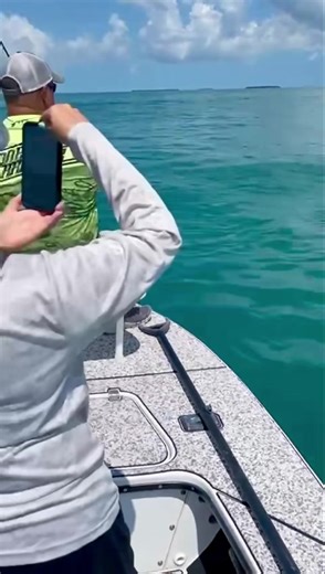9.3K views · 128 reactions | THE FISHMONSTER STEALTH FINDS TARPON…..AGAIN! #KEYWESTCHARTERBOAT #KEYWESTFLATSBOAT | FishMonster Key West | Facebook