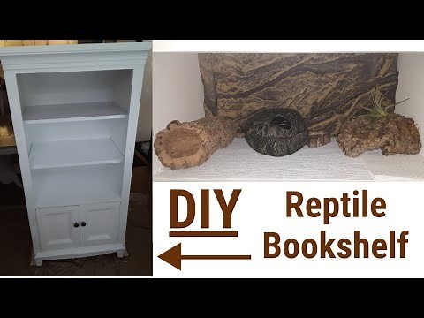 DIY Leopard Gecko Bookshelf