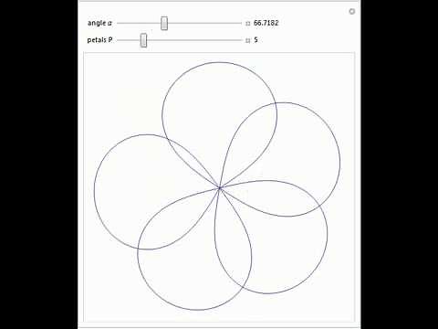 Flower Petals Using Parametric Equations