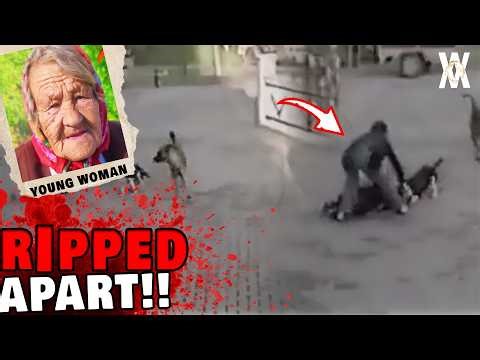 Woman's Pit Bull Becomes Unlikely Hero in Epic Animal Rescue