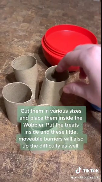 The Kong Wobbler Part 2! How to up the difficulty 🧠✅ #canineenrichmentideas #fyp #dogsoftiktok