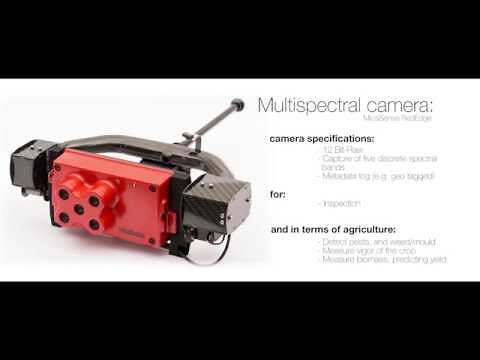 UAV- / Drone-based Precision Agriculture – Vegetables & Fruits