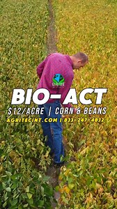 If you're a corn or bean farmer, AgriTec's BIO-ACT is a no-brainer. Bio-Act a powerful blend of humic acid, micro-nutrients, and high-carbon energy that boosts photosynthesis, improves nutrient uptake, and strengthens your crop’s immune system. Get better corn and beans today, use Bio-Act! Visit AgriTecInt.com or call 833-247-4832 to learn more today. #farming #fertilizer #corn #farmlife #fertilizer | AgriTec International Inc.