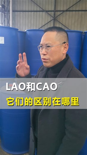 LAO和CAO有什么区别