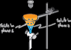 Nernst's distribution law | Chemistry Online
