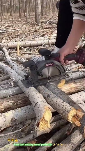 Hand cutter saw conveniently : Testing cutting tree process