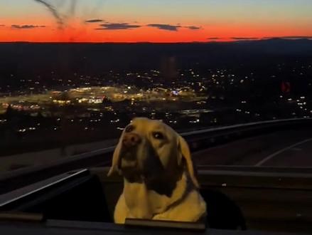 好喜欢这种氛围 该用什么理由分享给你