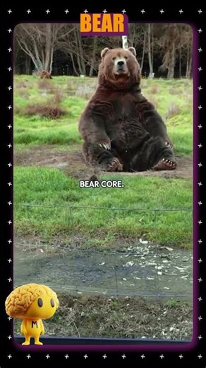 Bear Core 🐻🔥 | Funniest & Wildest Bear Moments Ever Caught on Camera