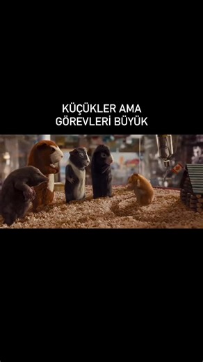 Kaliteli film on Instagram: "Film ~ G-force 🗓️ 2009 Kısa özet 📌 Pop-corn sinemasının alameti farikası “Karayip Korsanları” gibi sayısız popüler kültür ürünlerini piyasaya sürmüş yapımcı Jerry Bruckheimer, ilk 3 Boyutlu filmini beyaz perdeye G-Force ile sunuyor. Hayvanların ajan olarak kullanılmak için eğitildiği devlet sırrı niteliğinde gizli bir hükümet programındaki son gelişmeler hakkında bir komedi macera filmi olan G-Force, hem üç boyutlu hem de 35 milimetre kopyalarıyla gösterilecek. Son