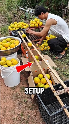 Boost Profit in Seconds! #shorts