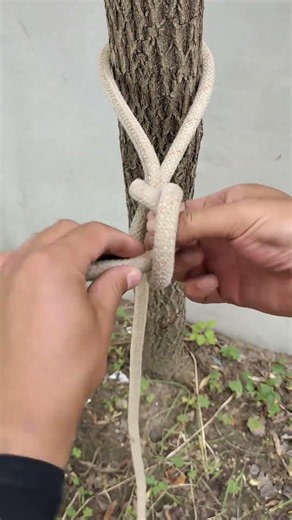 Essential Adjustable Knot for Securing to Trees