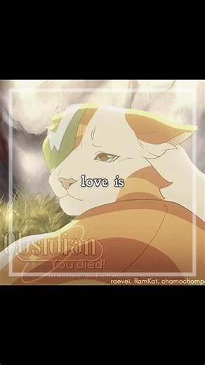 brightheart and cloudtail edit. | #edit #fyp #fypシ #warriorcats #wc #cloudtail #brightheart