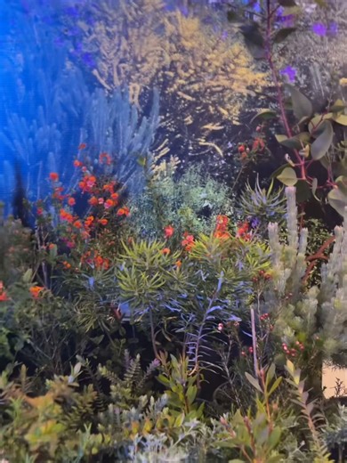 Happy 10th anniversary of Science at Melbourne's Science Festival! This year, we went to Science Gallery Melbourne, a zoology museum, the chemistry lab and the Bureau of Meteorology for our Mid-afternoon Masterclasses. We held an Expo and had drinks in space 🚀 Thanks to everyone who came along! See the upcoming events → unimelb.me/3WZaxOx | The University of Melbourne