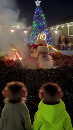 Santa Claus Plane Crash! ✈️🎅 Unexpected Ending!