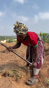 433 reactions · 80 comments | My name Is Beatrix Ligomeka. I voice out the untold tales through poetry. | Beatrix Kimberly Ligomeka | Facebook