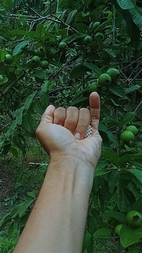 A Unique and Interesting Object #UniqueAndInteresting #UniqueObject #ViralShorts