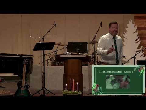 Sermon - Advent: Week 2 - Peace
