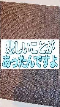 【アイス】ココナッツサブレを使って今流行りのココナッツサブレアイスなるものを作ってみた結果…#料理 #料理動画 # #簡単レシピ #ズボラ飯 #japan #cooking